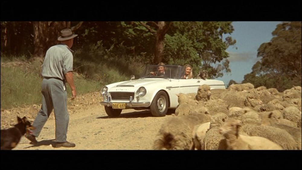 キラーカーズ／パリを食べた車の画像