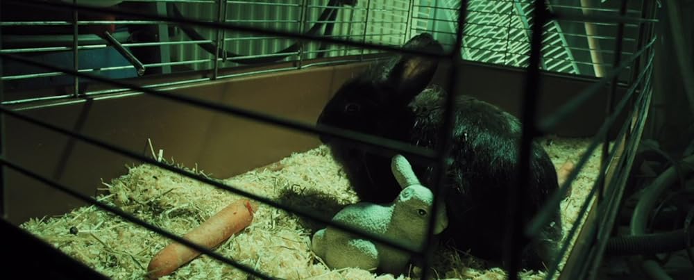 バニー・ザ・キラーの画像