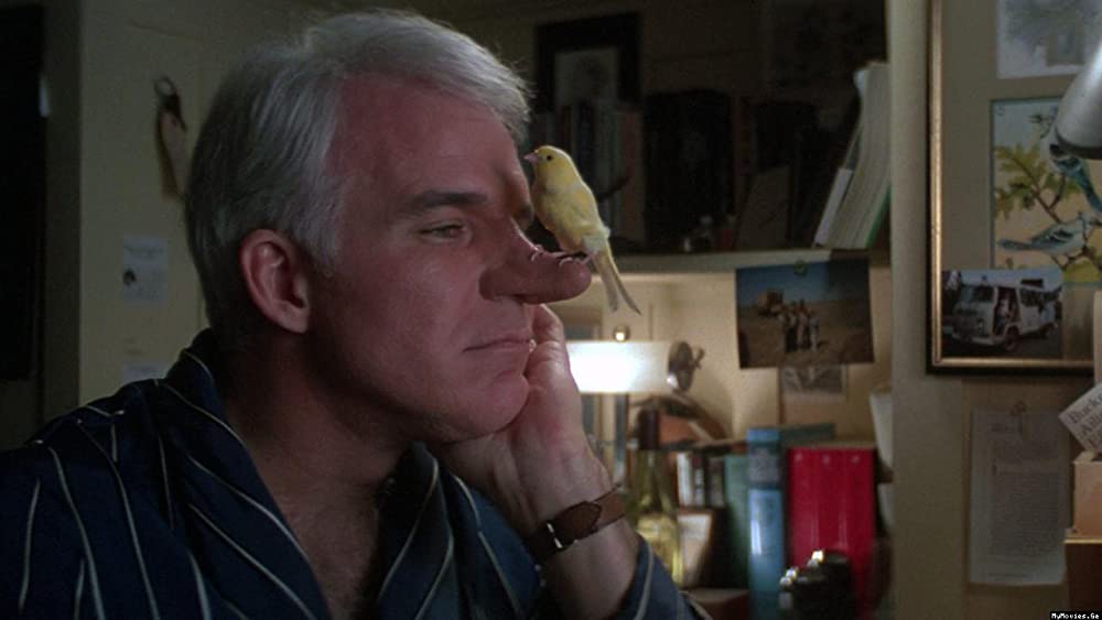 愛しのロクサーヌの画像