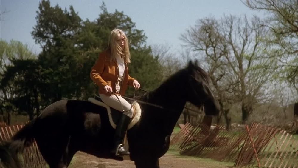 「密会」エイミー・ロケインの画像