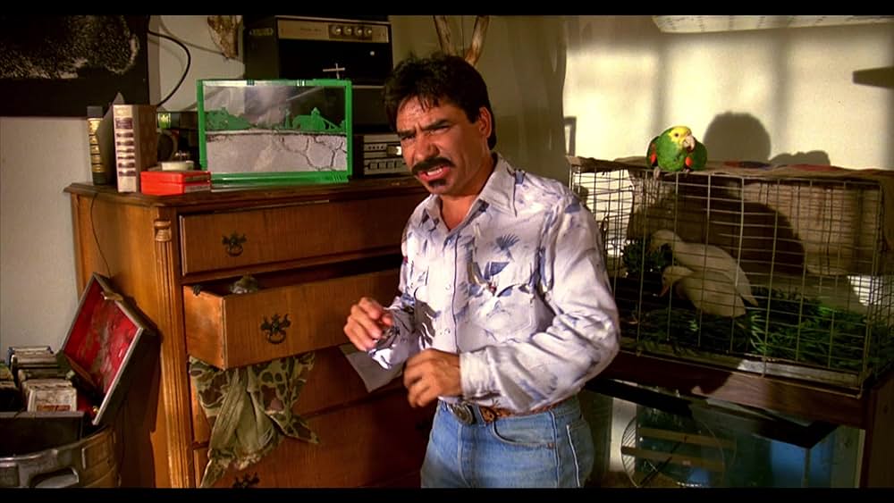 パロディ放送局 UHFの画像