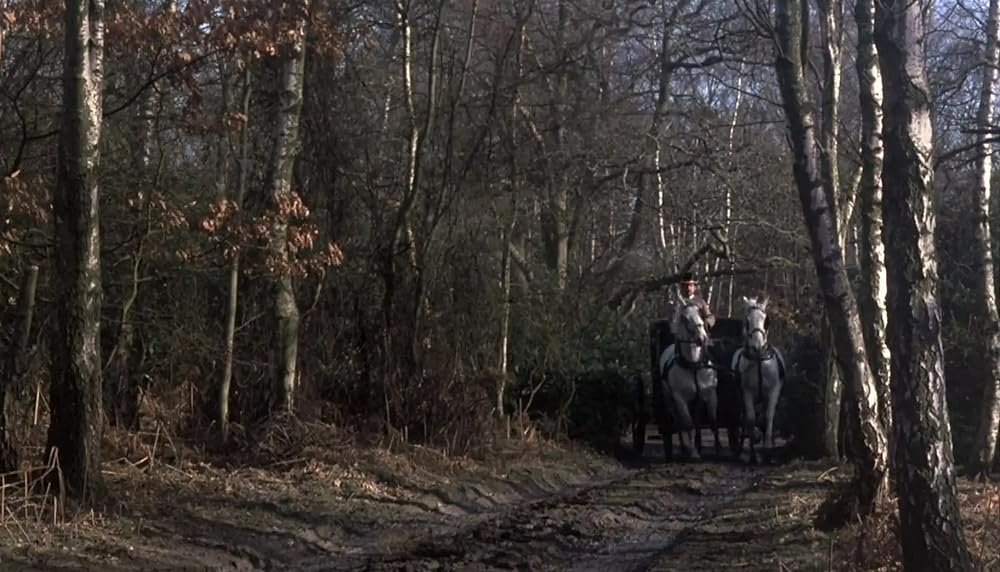 バンパイア・ラヴァーズの画像