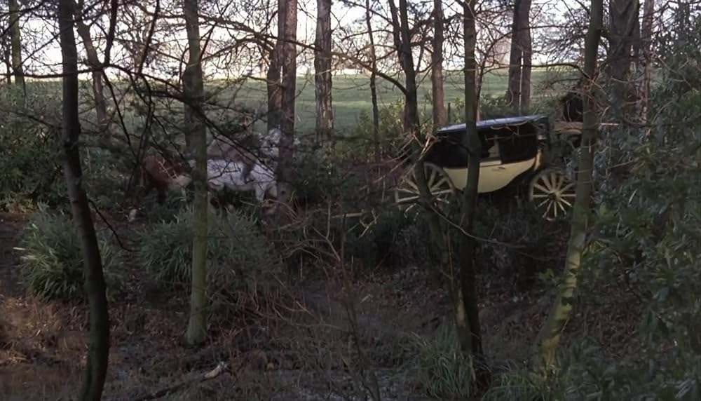 バンパイア・ラヴァーズの画像