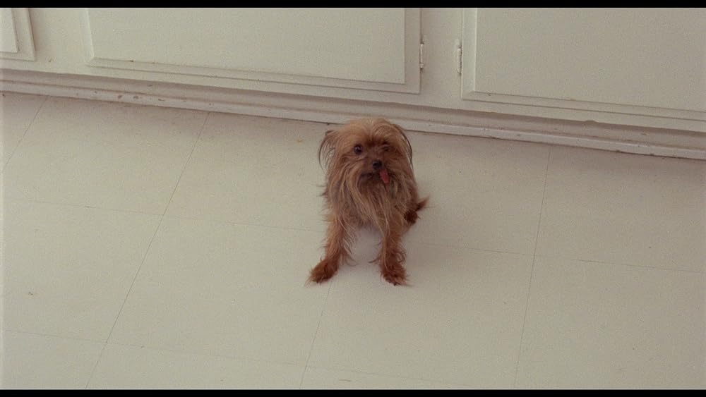 ホラー喰っちまったダ！／やめられない、とまらない人肉バーベキューの画像