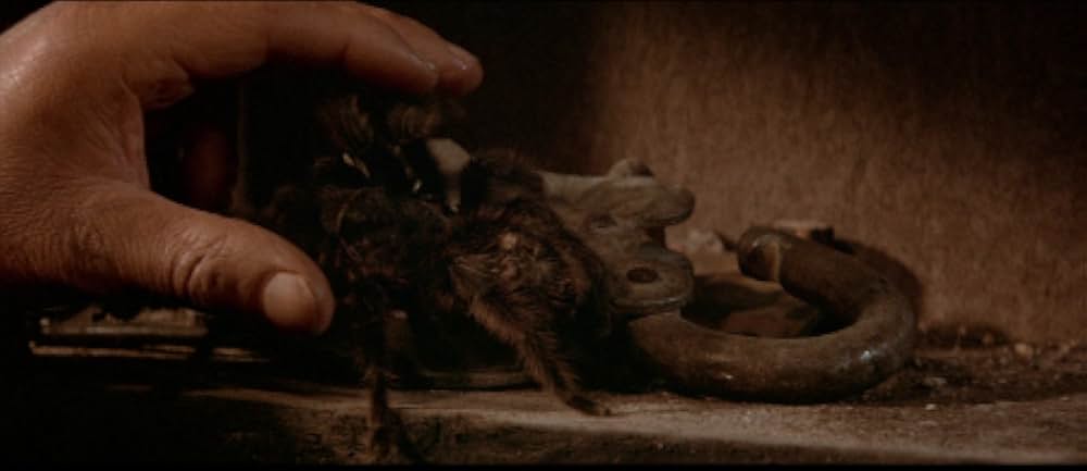 襲い狂う呪いの画像