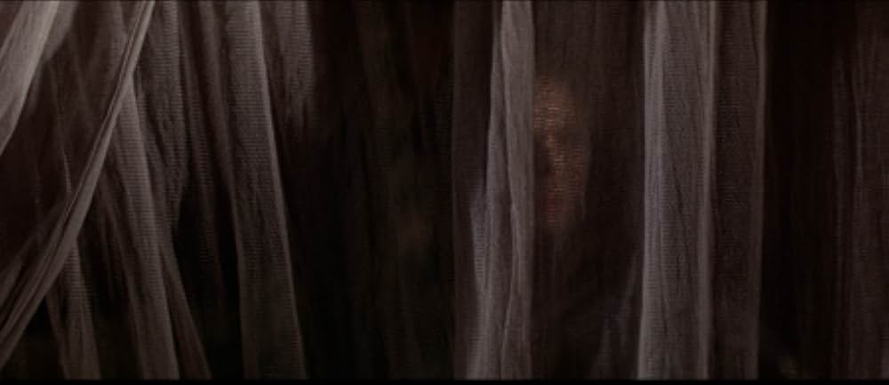 襲い狂う呪いの画像