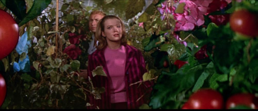 襲い狂う呪いの画像