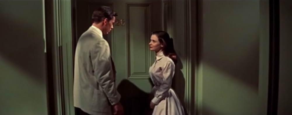 蜘蛛の巣の画像