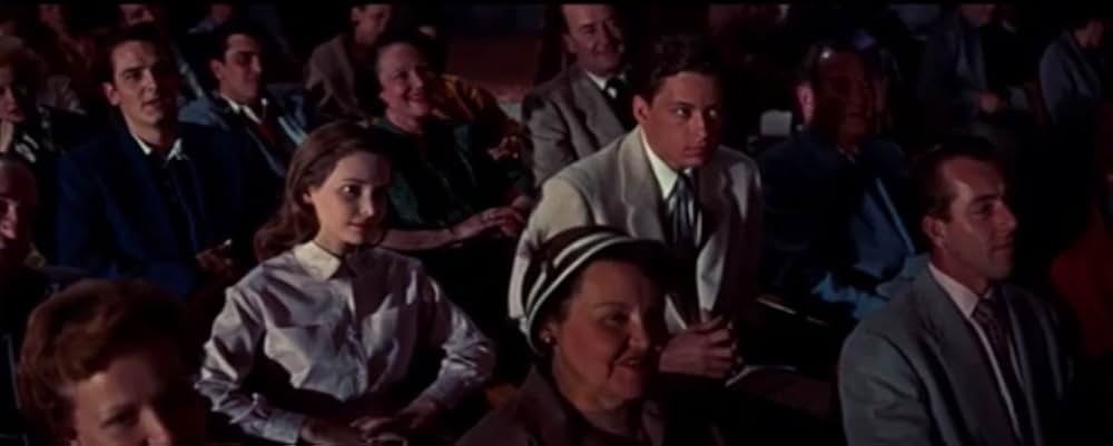 蜘蛛の巣の画像