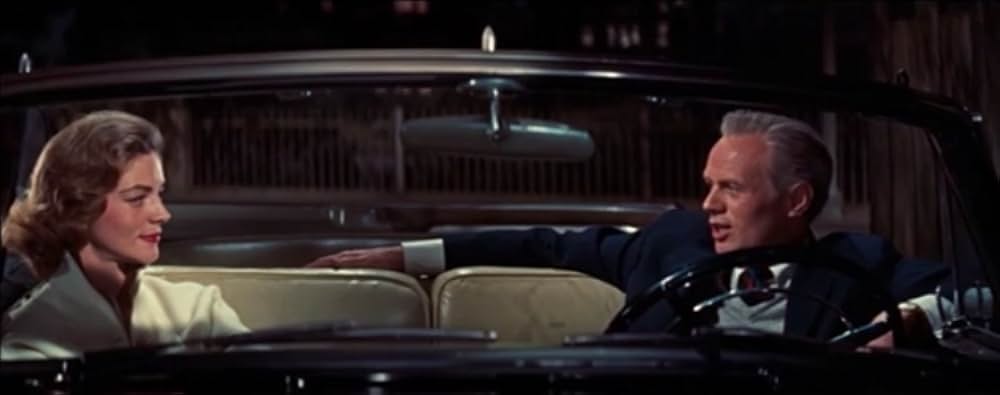 蜘蛛の巣の画像