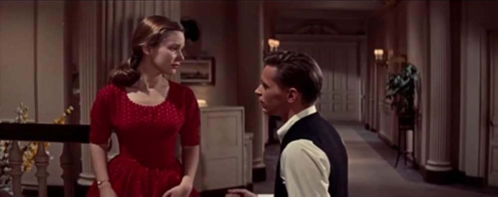 蜘蛛の巣の画像