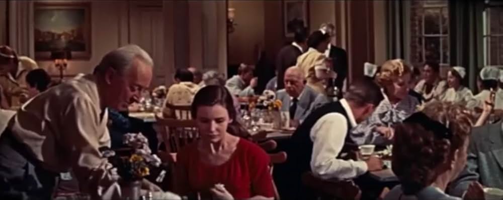 蜘蛛の巣の画像