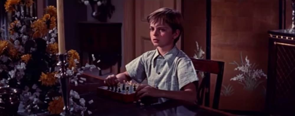 蜘蛛の巣の画像