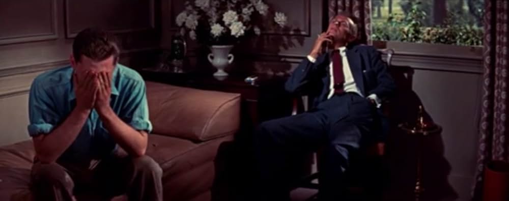 蜘蛛の巣の画像