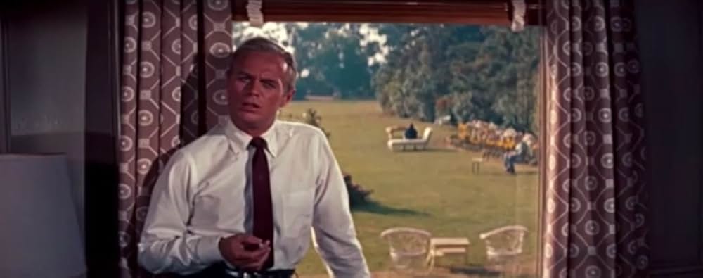 蜘蛛の巣の画像