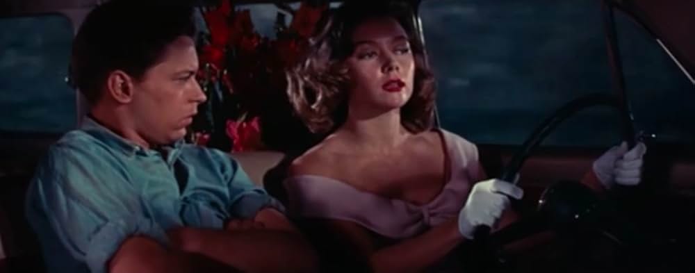 蜘蛛の巣の画像