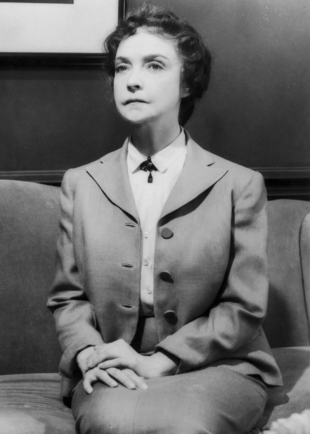 蜘蛛の巣の画像