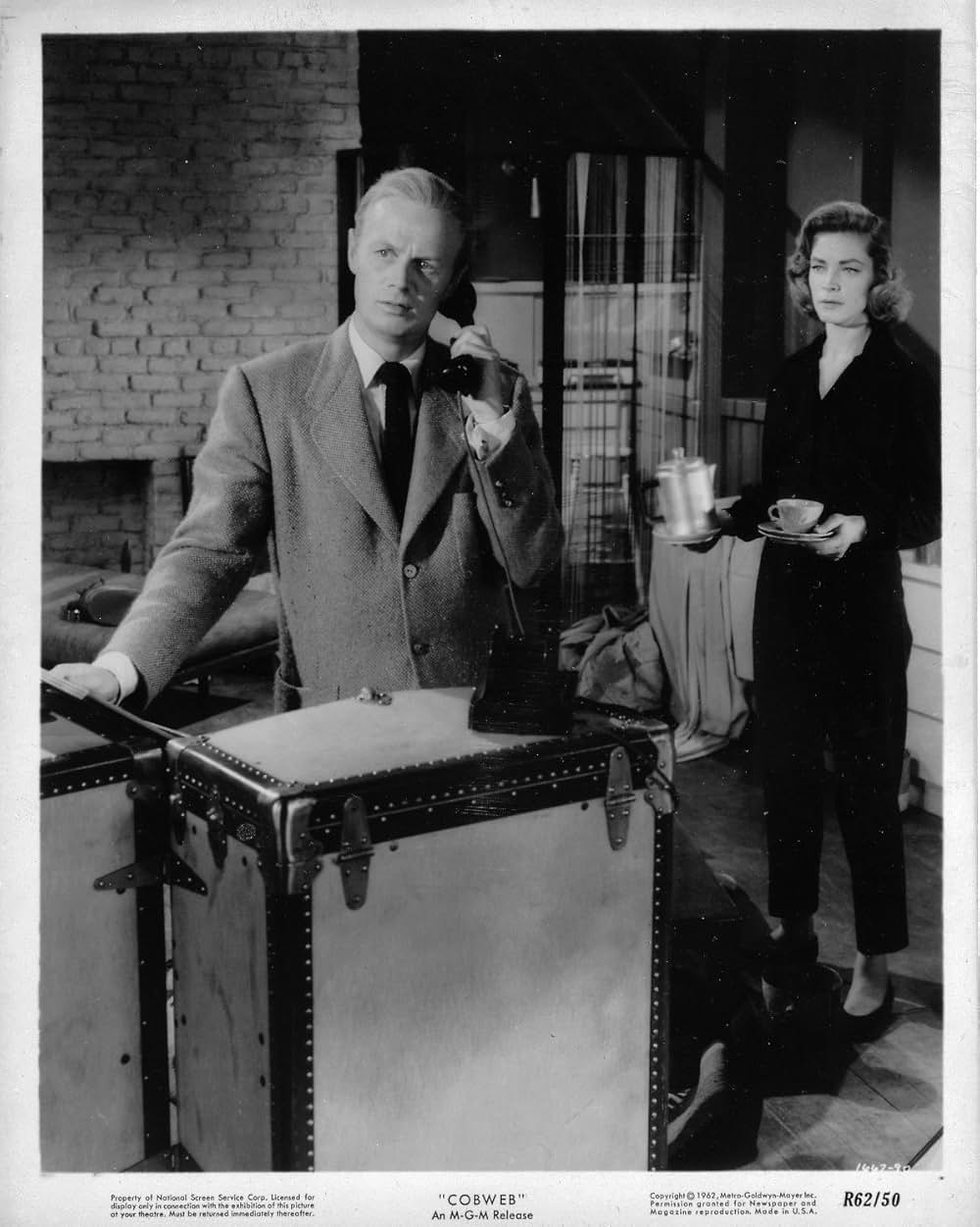 蜘蛛の巣の画像