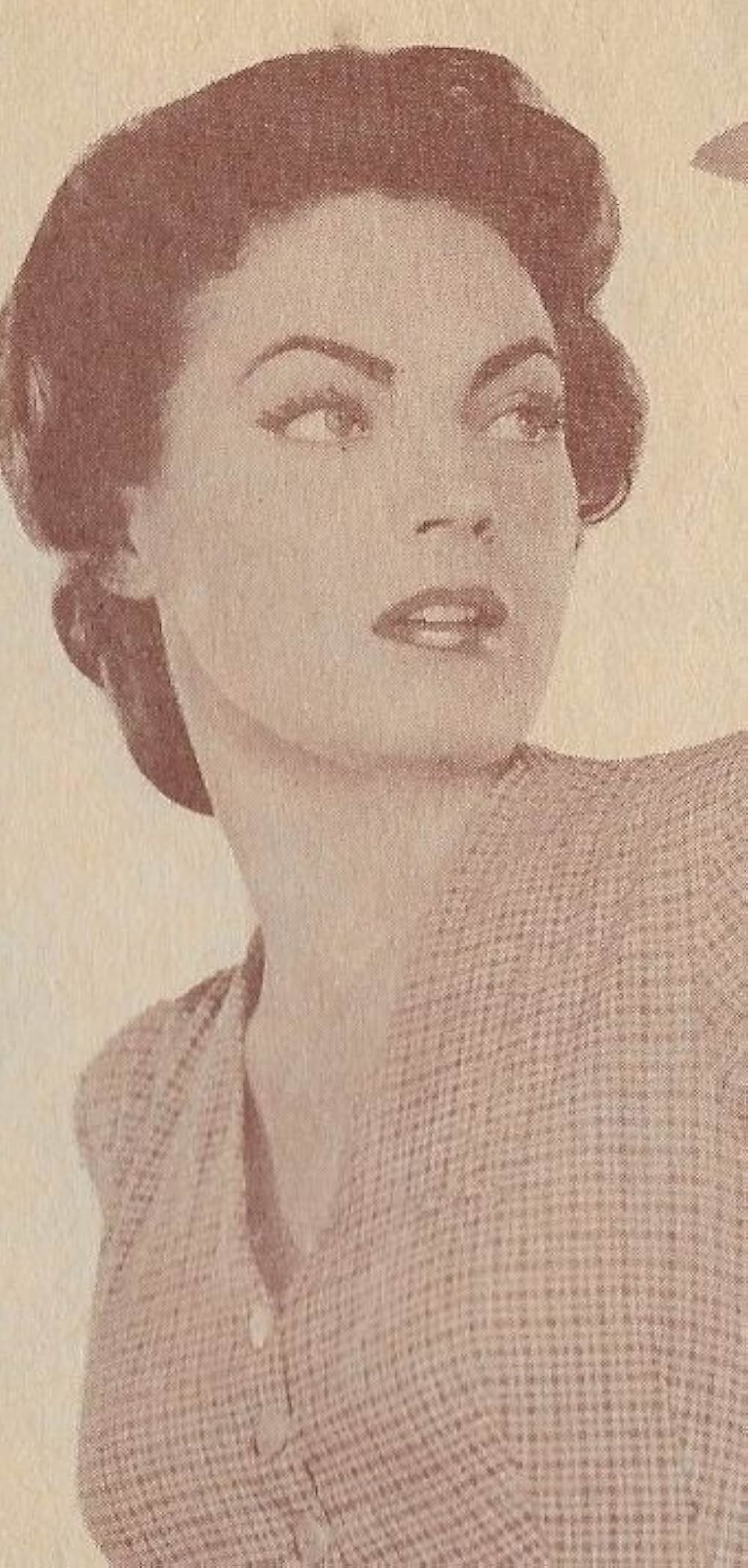 蜘蛛の巣の画像