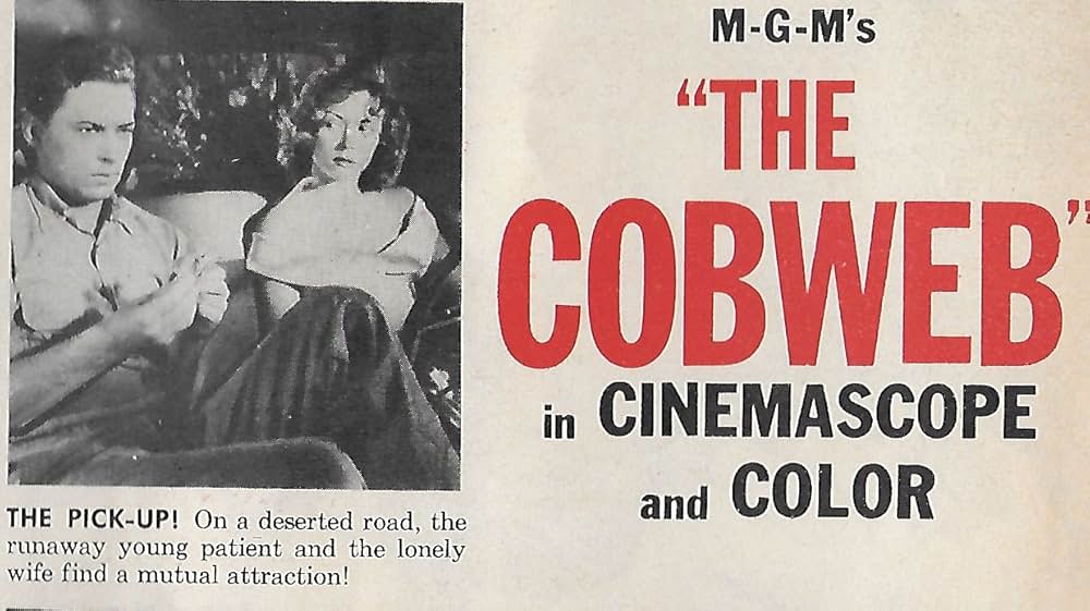 蜘蛛の巣の画像