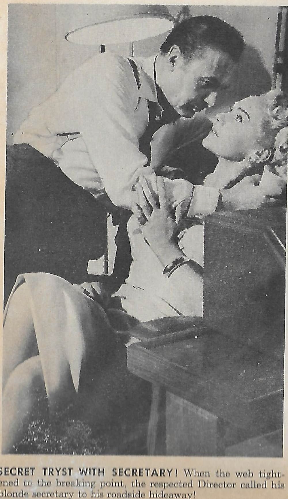 蜘蛛の巣の画像