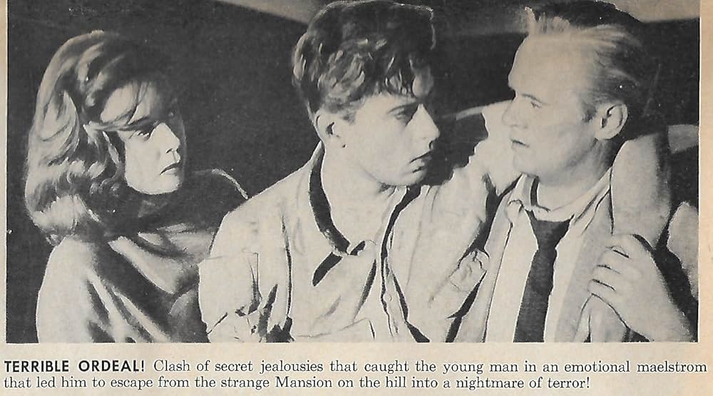 蜘蛛の巣の画像