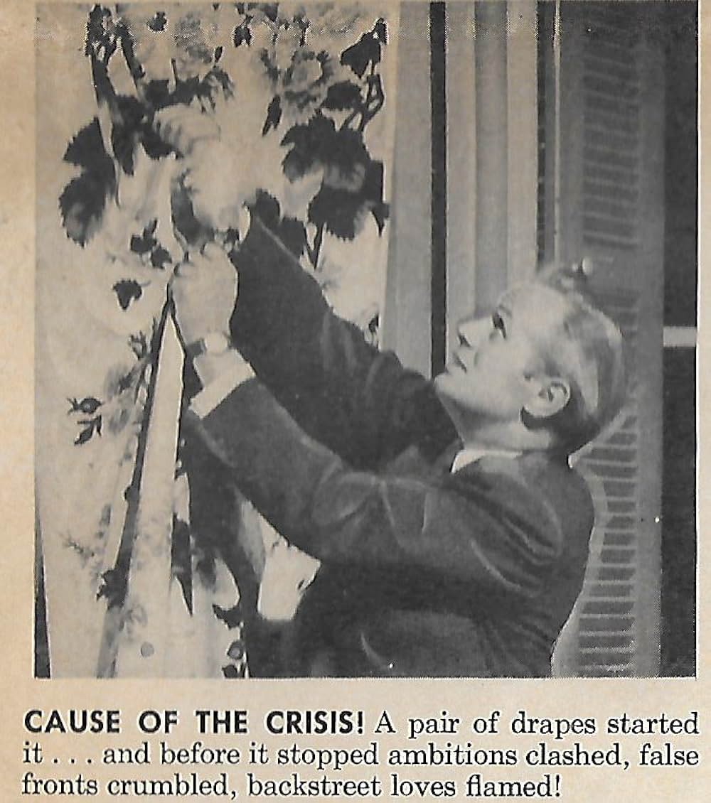 蜘蛛の巣の画像