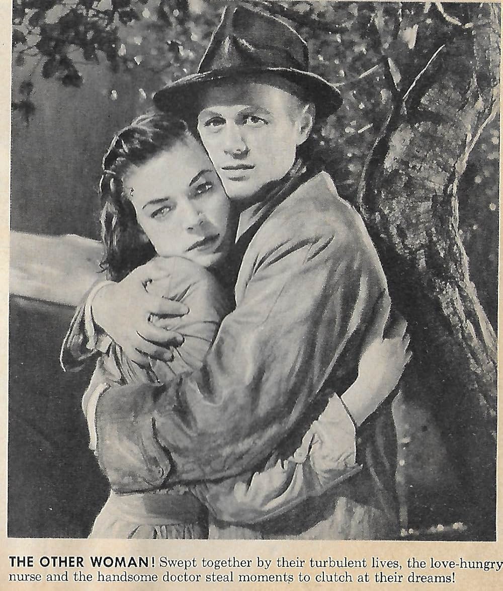 蜘蛛の巣の画像