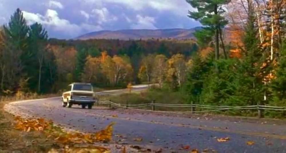 赤ちゃんはトップレディがお好きの画像