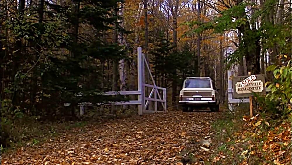 赤ちゃんはトップレディがお好きの画像