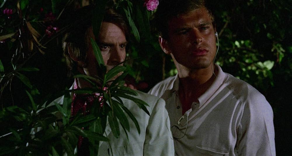 デリリウムの画像