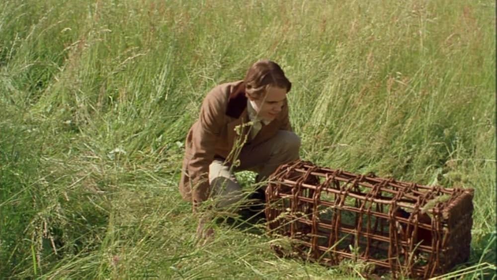 Lover’s Prayer はつ恋の画像