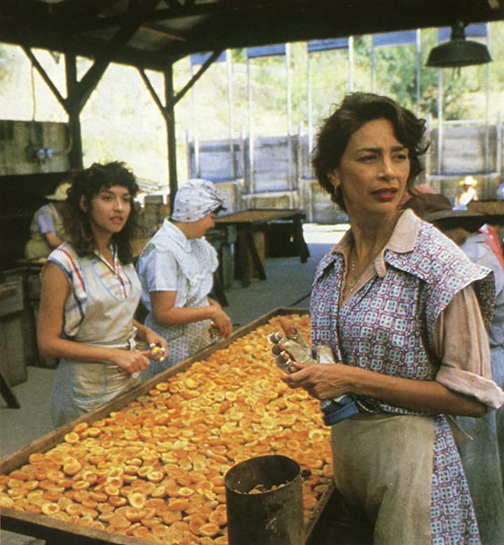 ラ・バンバの画像