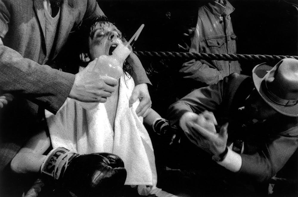 ロッキーVIの画像