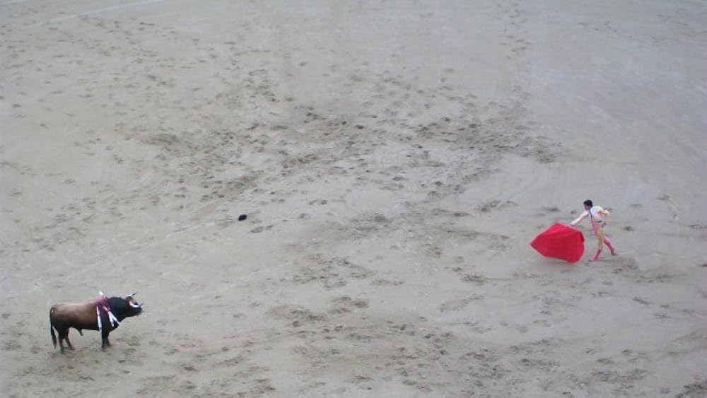 マノレテ 情熱のマタドールの画像