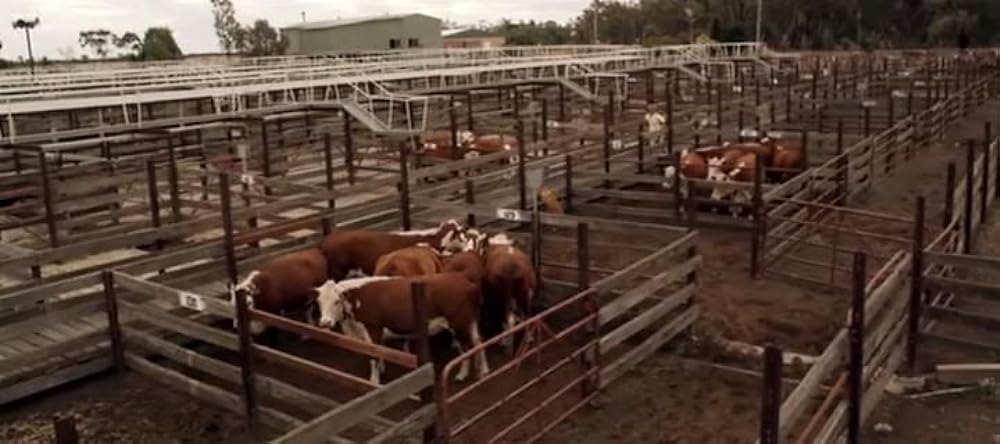 MOTHERS マザーズの画像