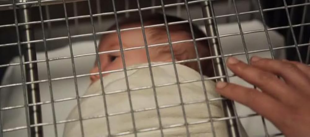 MOTHERS マザーズの画像