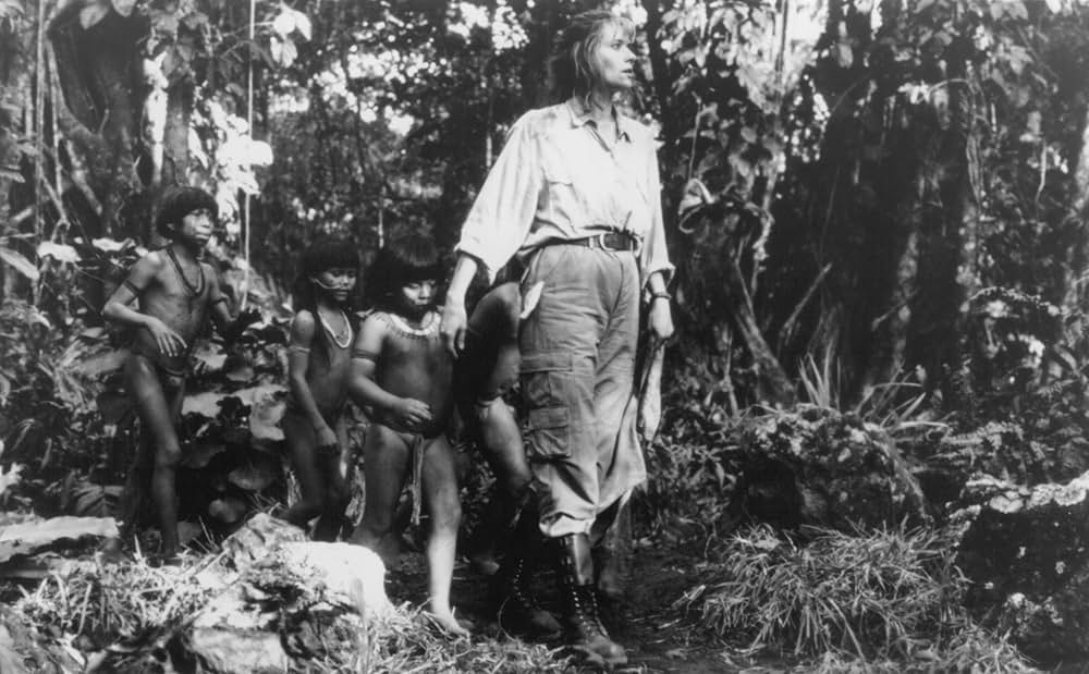 ザ・スタンドの画像