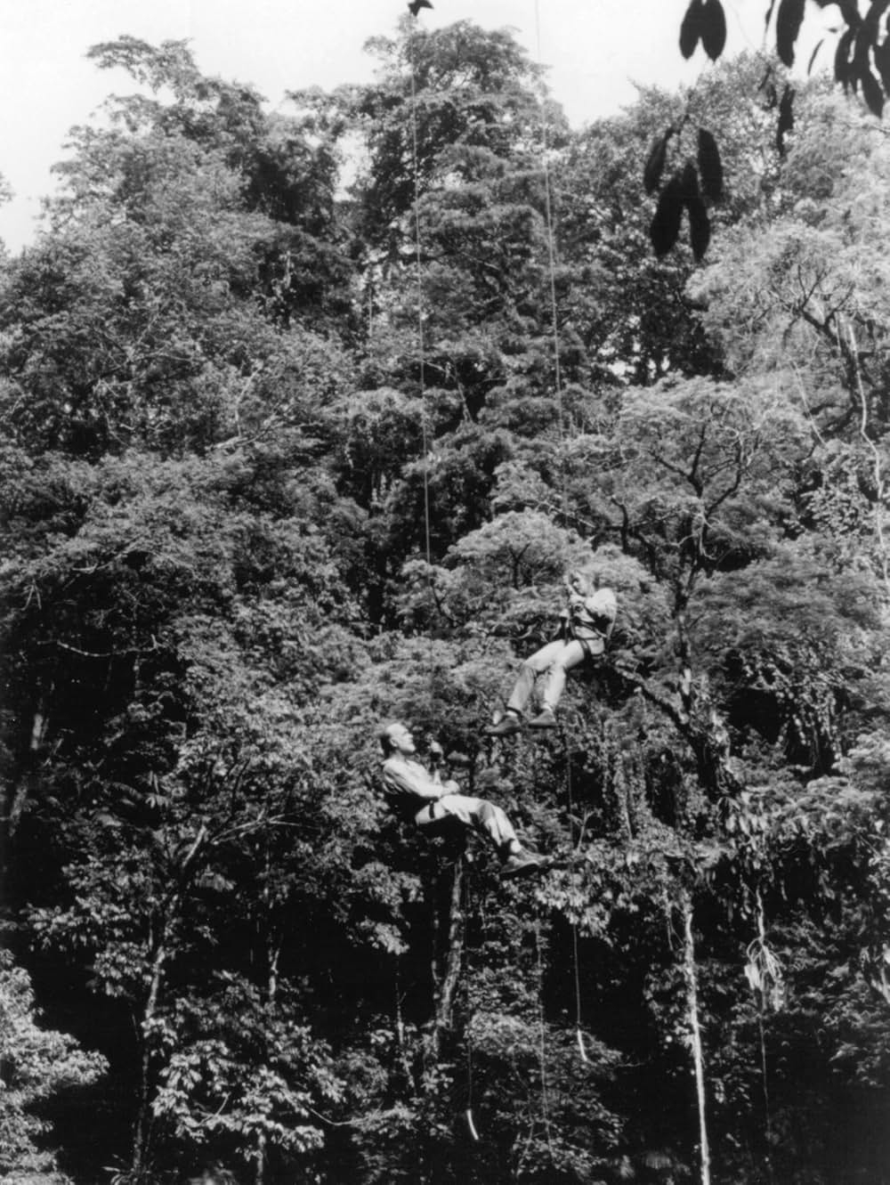 ザ・スタンドの画像