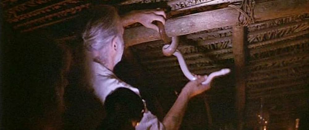 ザ・スタンドの画像