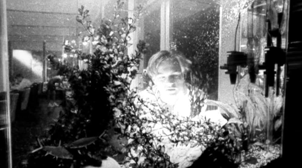 あのころ僕らはの画像