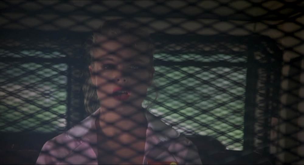 逃げる天使の画像