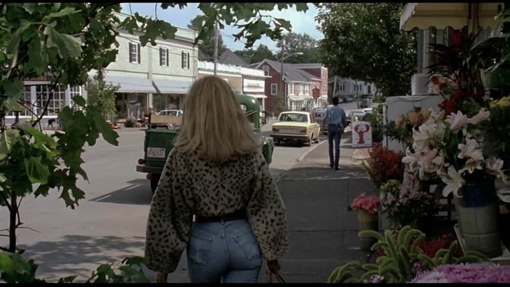 ハウスシッター／結婚願望の画像