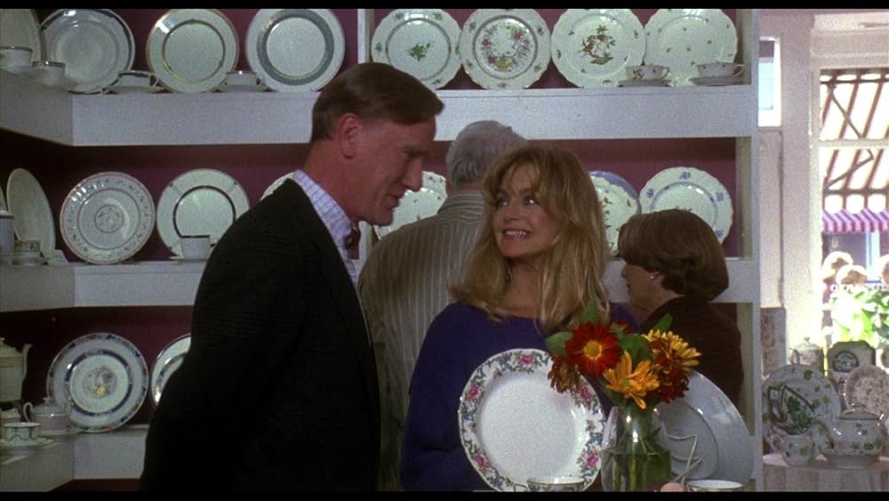 ハウスシッター／結婚願望の画像