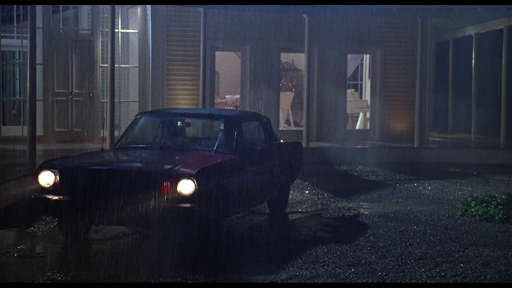 ハウスシッター／結婚願望の画像