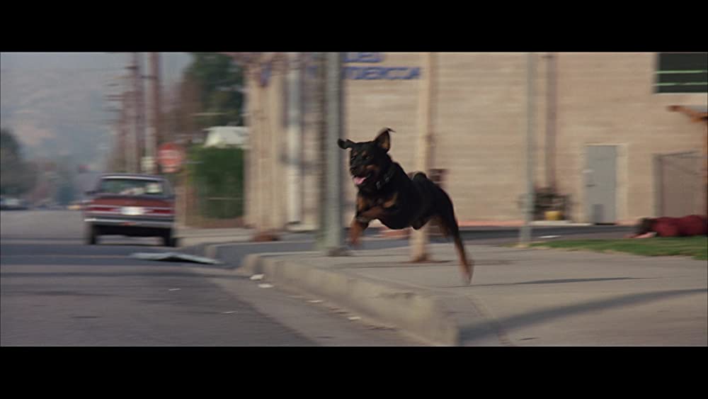 リーサル・ウェポン3の画像