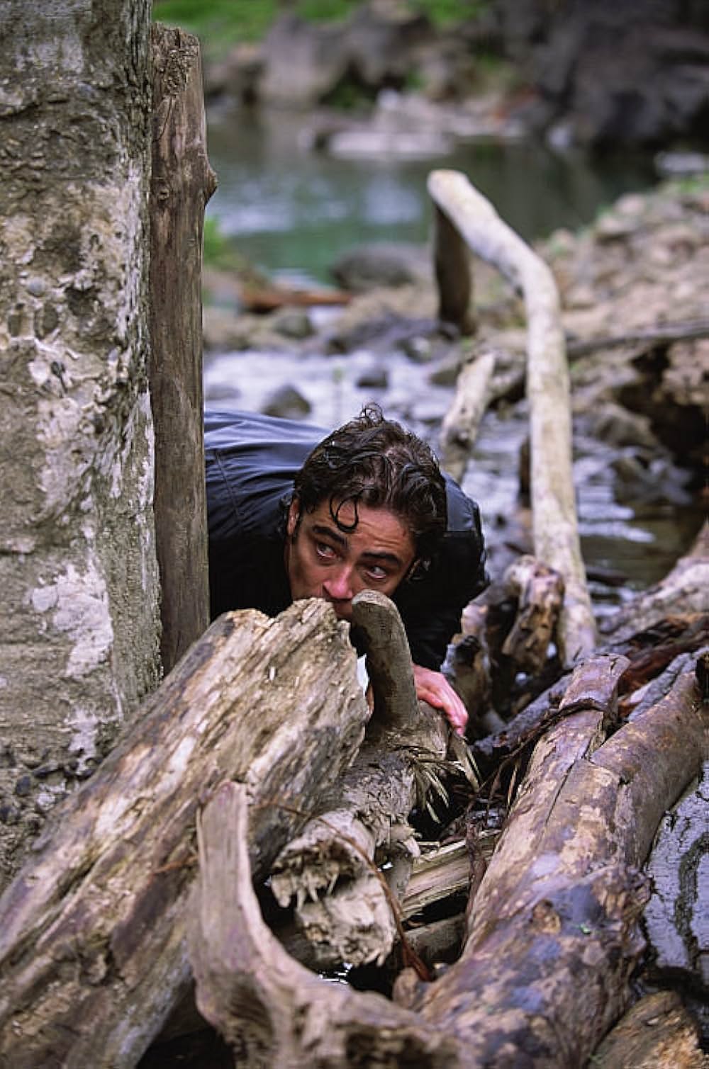 ハンテッドの画像