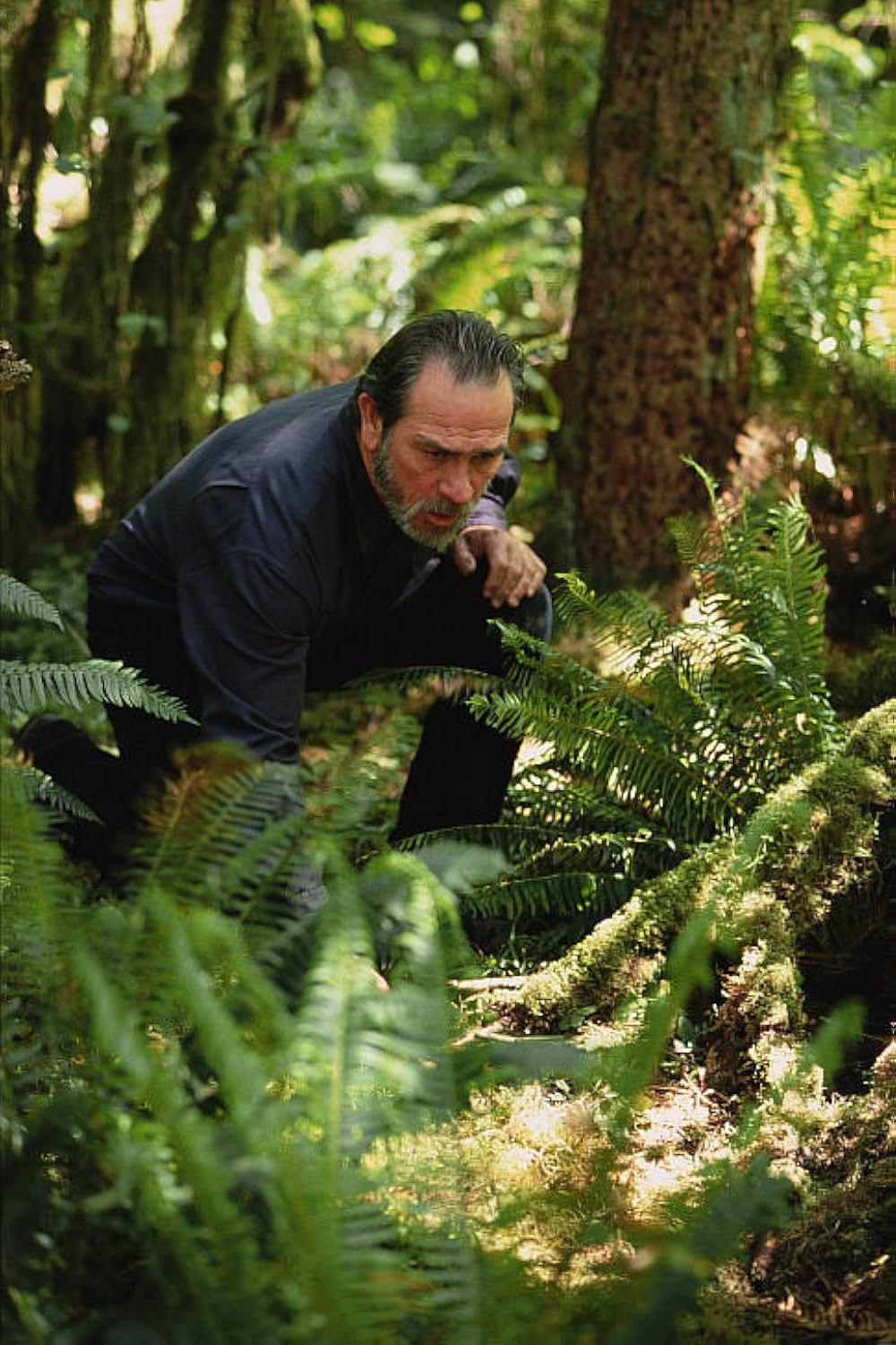 ハンテッドの画像