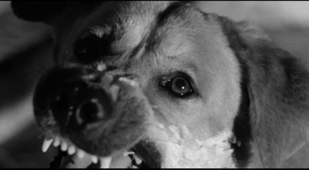 海獣の霊を呼ぶ女／怪物の女性の画像