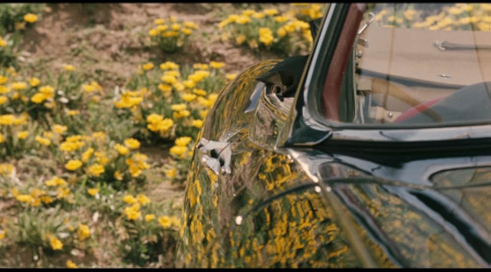 華麗なる殺人の画像